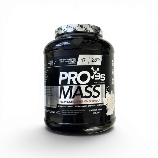 Basic Supplements PRO Mass Gainer, 2600g